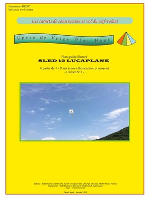 cover image of Les carnets de construction et vol du cerf-volant